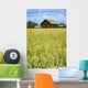 Farmhouse And Wheat Field, Calmar, Alberta, Canada Wall Mural