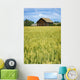 Farmhouse And Wheat Field, Calmar, Alberta, Canada Wall Mural