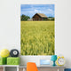 Farmhouse And Wheat Field, Calmar, Alberta, Canada Wall Mural