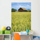 Farmhouse And Wheat Field, Calmar, Alberta, Canada Wall Mural