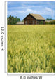 Farmhouse And Wheat Field, Calmar, Alberta, Canada Wall Mural