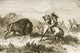 American Indians Buffalo Hunting By Rev Samuel Manning Wall Mural