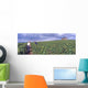 Vendanges En Champagne Wall Decal