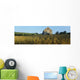 Co Derry, Limavady, Roe Valley Country Park Wall Mural