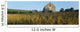Co Derry, Limavady, Roe Valley Country Park Wall Mural
