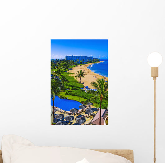 kaanapali beach, maui Wall Mural
