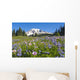 Wildflower Meadow, Mount Rainier National Park, Washington, Usa Wall Mural