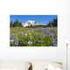 Wildflower Meadow, Mount Rainier National Park, Washington, Usa Wall Mural