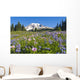 Wildflower Meadow, Mount Rainier National Park, Washington, Usa Wall Mural