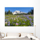 Wildflower Meadow, Mount Rainier National Park, Washington, Usa Wall Mural