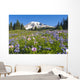 Wildflower Meadow, Mount Rainier National Park, Washington, Usa Wall Mural
