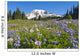 Wildflower Meadow, Mount Rainier National Park, Washington, Usa Wall Mural