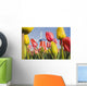 Windmill And Tulips At Wooden Shoe Tulip Farm Wall Mural