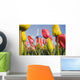 Windmill And Tulips At Wooden Shoe Tulip Farm Wall Mural