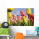Windmill And Tulips At Wooden Shoe Tulip Farm Wall Mural