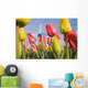 Windmill And Tulips At Wooden Shoe Tulip Farm Wall Mural