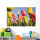 Windmill And Tulips At Wooden Shoe Tulip Farm Wall Mural