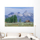 Grand Teton National Park, Wyoming, Usa Wall Mural