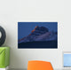Mount Hector, Banff National Park, Alberta, Canada Wall Mural