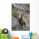 Bighorn Sheep Wall Mural
