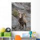 Bighorn Sheep Wall Mural