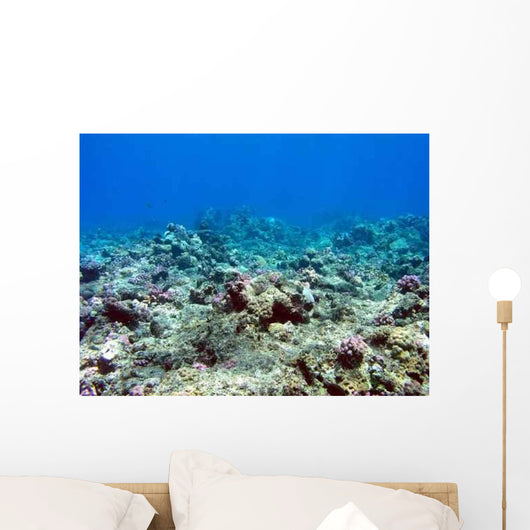 Riffdach Wall Decal