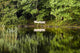 Rowboat Moored On The Bank Of A Lake Wall Mural