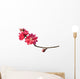 Peach Blossom Flower Branch Wall Decal