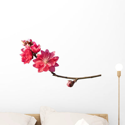 Peach Blossom Flower Branch Wall Decal shown on a wall