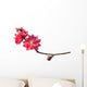 Peach Blossom Flower Branch Wall Decal
