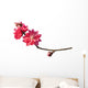 Peach Blossom Flower Branch Wall Decal