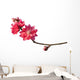Peach Blossom Flower Branch Wall Decal