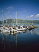 Carlingford Yacht Marina, Co Louth, Ireland Wall Mural