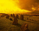 Beaghmore Stone Circles Wall Mural