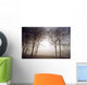 Morning Mist Wall Mural