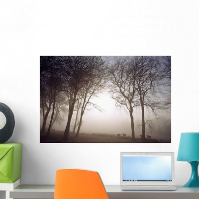 Morning Mist Wall Mural shown on a wall
