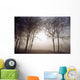 Morning Mist Wall Mural