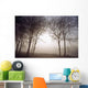 Morning Mist Wall Mural