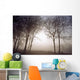 Morning Mist Wall Mural