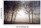 Morning Mist Wall Mural