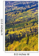 Autumn Countryside, Yukon Territories, Canada Wall Mural