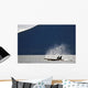 Killer Whales, Alaska, Usa Wall Mural