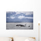 Killer Whales, Alaska Wall Mural
