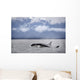 Killer Whales, Alaska Wall Mural
