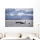 Killer Whales, Alaska Wall Mural