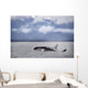 Killer Whales, Alaska Wall Mural
