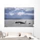 Killer Whales, Alaska Wall Mural