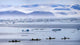Devon Island, Nunavut, Canada Wall Mural