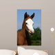Baldfaced Filly Wall Mural