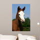 Baldfaced Filly Wall Mural